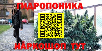 мяу мяу мука Пушкино